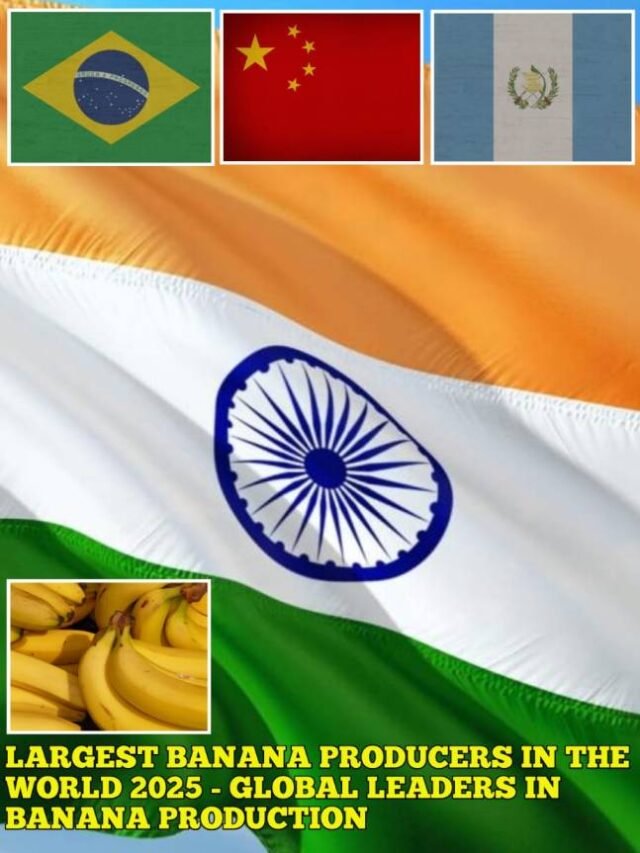 Largest Banana Producers in the World 2025 - Global Leaders in Banana Production