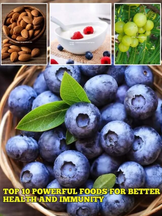 Top 10 Powerful Foods for Better Health and Immunity
