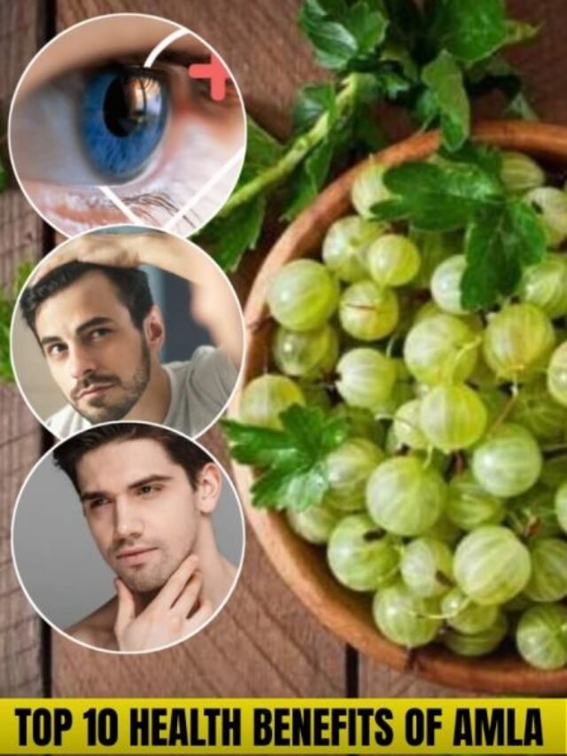 Top 10 Health Benefits of Amla for Immunity, Skin and Hair